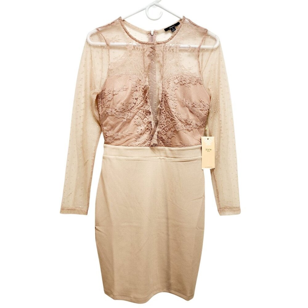 Blāshe Blush Lace Overlay Sheer Polka Dot Mesh Long Sleeve Mini Dress Size Small